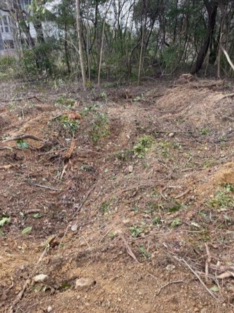 豊橋市大岩町、土地の画像です