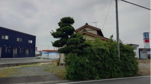 豊橋市飯村町、土地の画像です