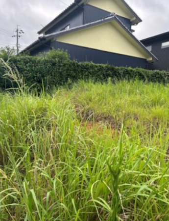 豊橋市佐藤、土地の画像です