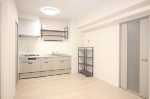 豊橋市花中町、マンションのキッチン画像です