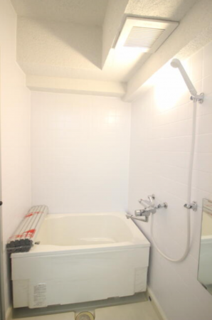 豊橋市花中町、マンションの風呂画像です