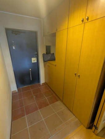 豊橋市東岩田、マンションの玄関画像です