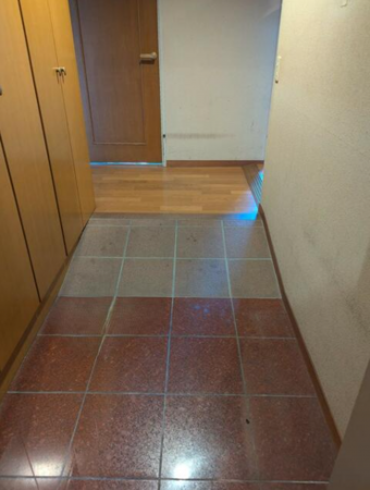 豊橋市東岩田、マンションの玄関画像です