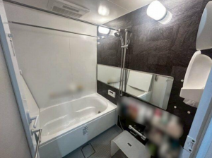 豊橋市花田町、マンションの画像です