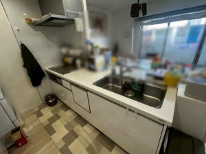 豊橋市花田町、マンションの画像です