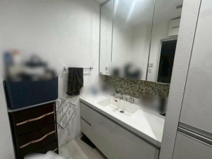 豊橋市花田町、マンションの画像です