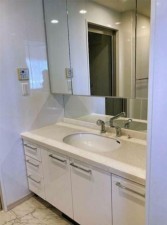 豊橋市広小路、マンションの洗面画像です