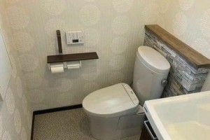 豊橋市平川本町、中古一戸建てのトイレ画像です