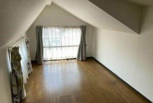 豊橋市平川本町、中古一戸建ての収納画像です