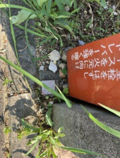 豊橋市飯村南、土地の画像です