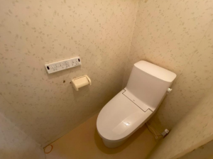 豊橋市羽根井西町、マンションのトイレ画像です
