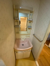 豊橋市羽根井西町、マンションの洗面画像です