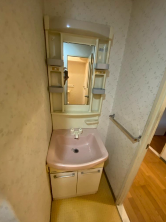 豊橋市羽根井西町、マンションの洗面画像です