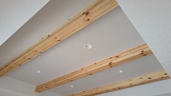 豊橋市東郷町、新築一戸建ての画像です