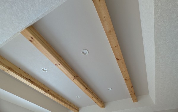 豊橋市東郷町、新築一戸建ての画像です