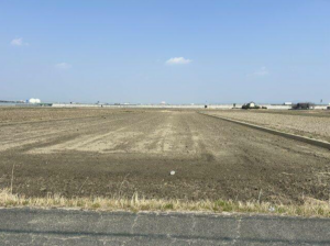 豊橋市神野新田町、土地の画像です