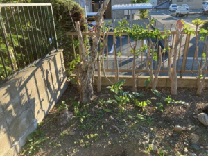 豊橋市西小鷹野、土地の画像です