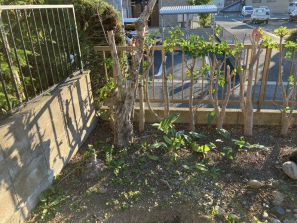 豊橋市西小鷹野、土地の画像です