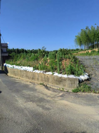 豊橋市伊古部町、土地の画像です