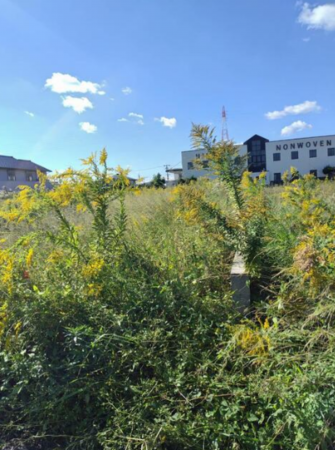 豊橋市前芝町、土地の画像です