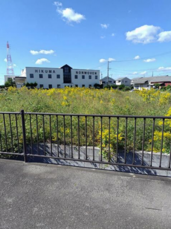 豊橋市前芝町、土地の画像です