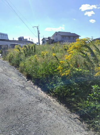 豊橋市前芝町、土地の画像です