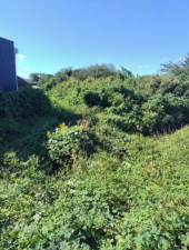 豊橋市老津町、土地の画像です