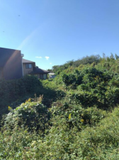 豊橋市老津町、土地の画像です