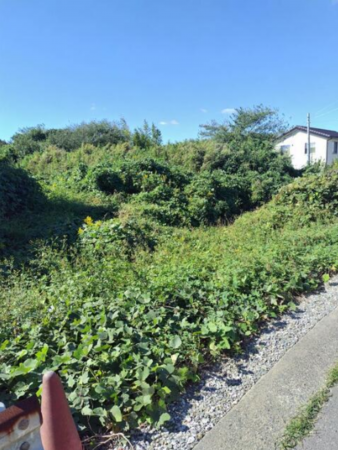 豊橋市老津町、土地の画像です