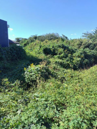 豊橋市老津町、土地の画像です