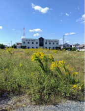 豊橋市前芝町、土地の画像です