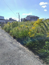 豊橋市前芝町、土地の画像です