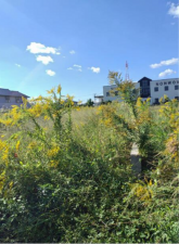 豊橋市前芝町、土地の画像です