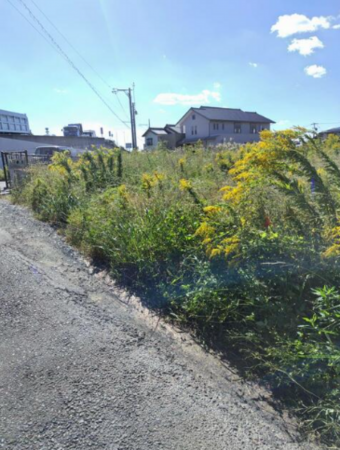 豊橋市前芝町、土地の画像です