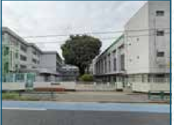 練馬区南大泉、土地の中学校画像です