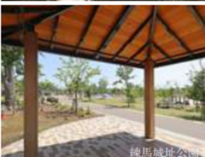 練馬区桜台、土地の公園画像です