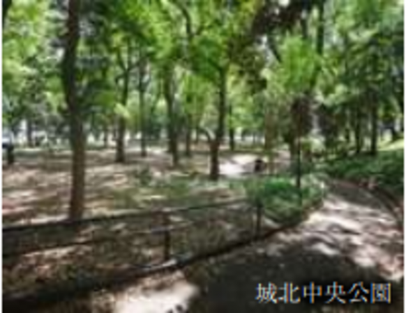 練馬区桜台、土地の公園画像です