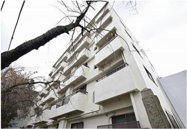 練馬区栄町、中古マンションの外観画像です