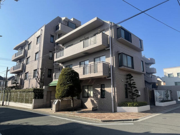 練馬区豊玉中、中古マンションの外観画像です
