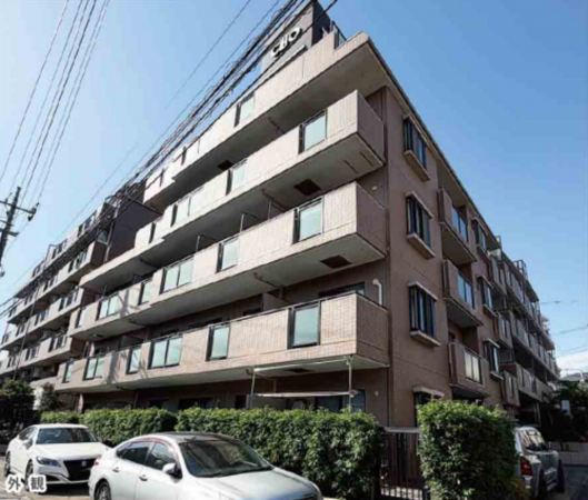 練馬区高松、中古マンションの外観画像です