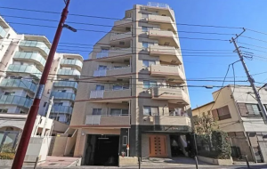 練馬区豊玉上、中古マンションの外観画像です