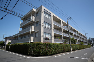 練馬区平和台、中古マンションの画像です