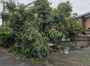 北九州市門司区吉志、土地の前面道路を含む現地写真画像です