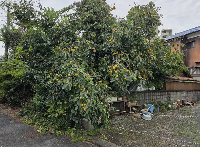 北九州市門司区吉志、土地の前面道路を含む現地写真画像です