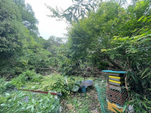 北九州市門司区風師、土地の前面道路を含む現地写真画像です