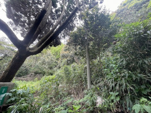 北九州市門司区風師、土地の前面道路を含む現地写真画像です