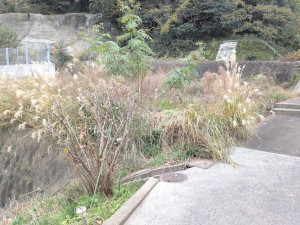 北九州市門司区緑ケ丘、土地の前面道路を含む現地写真画像です