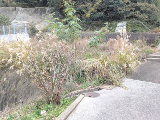北九州市門司区緑ケ丘、土地の前面道路を含む現地写真画像です