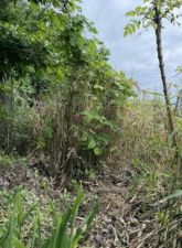 北九州市門司区寺内、土地の前面道路を含む現地写真画像です