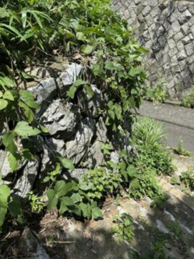 北九州市門司区寺内、土地の前面道路を含む現地写真画像です